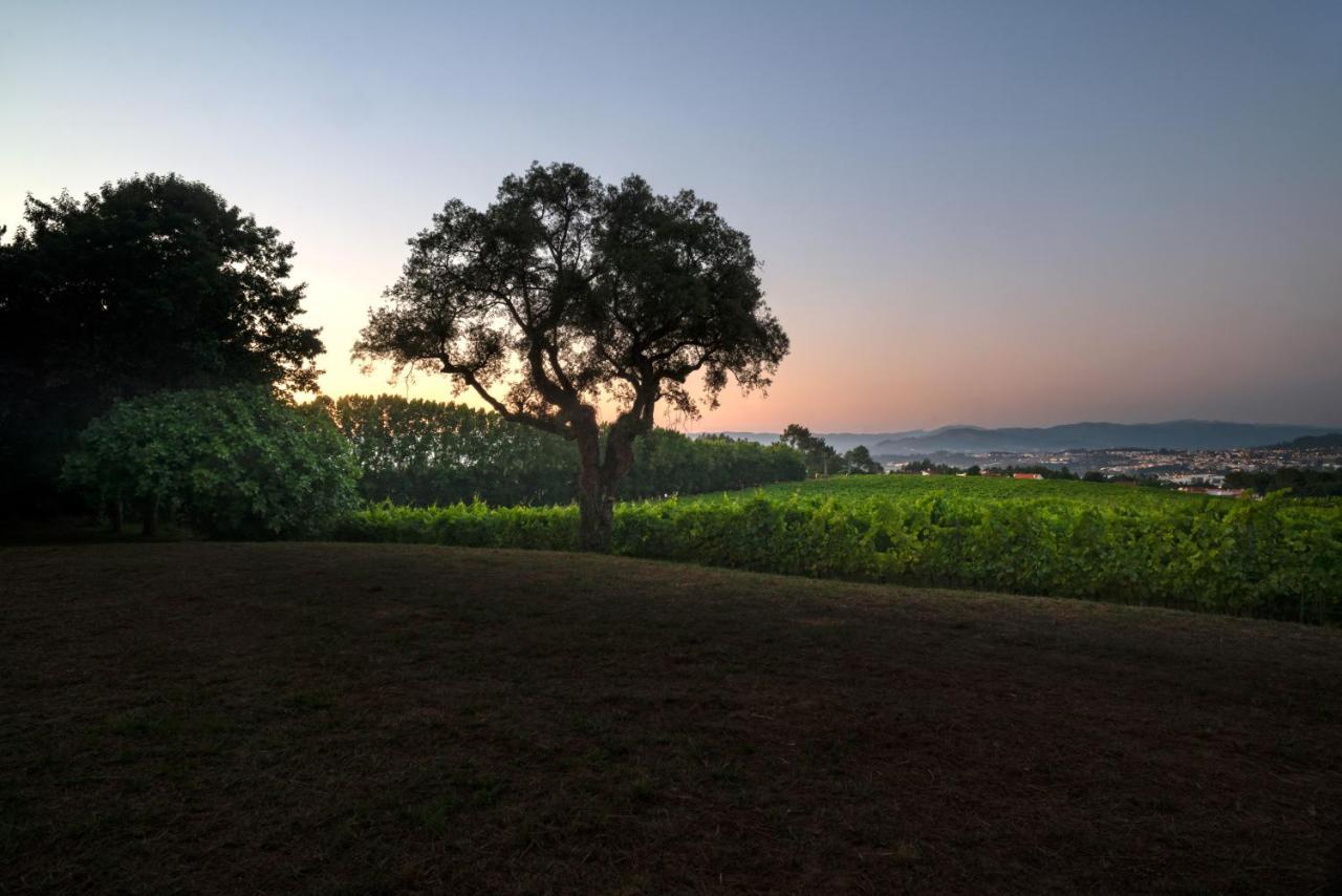 Braga House & Wine Βίλα Εξωτερικό φωτογραφία