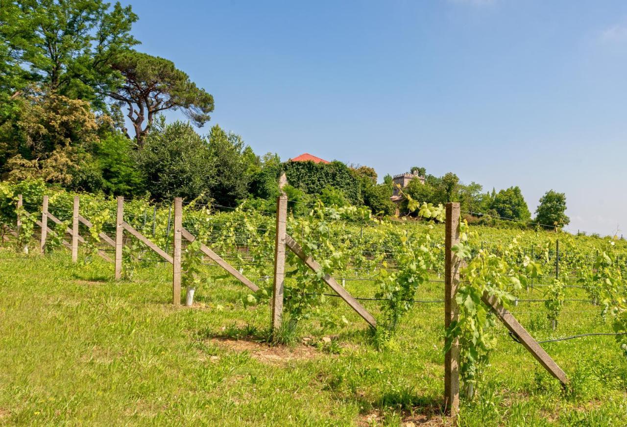 Braga House & Wine Βίλα Εξωτερικό φωτογραφία